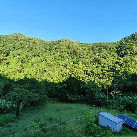Spacieux Appartement A La Villa Montagne Le Carbet Esterno foto