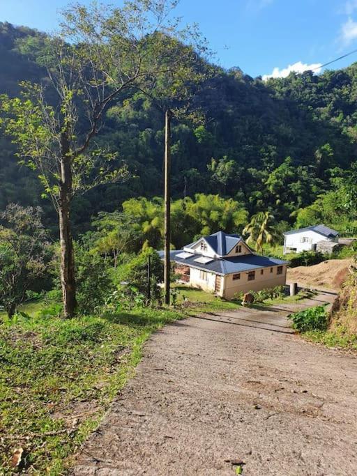 Spacieux Appartement A La Villa Montagne Le Carbet Esterno foto